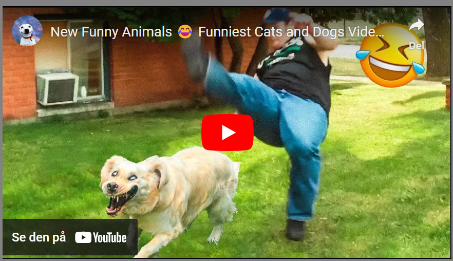 Dette bildet mangler alt-tekst; dets filnavn er image.png